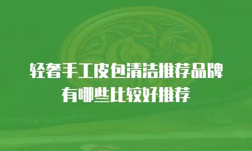 轻奢手工皮包清洁推荐品牌有哪些比较好推荐