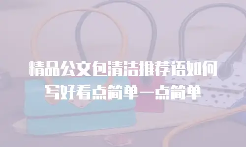 精品公文包清洁推荐语如何写好看点简单一点简单