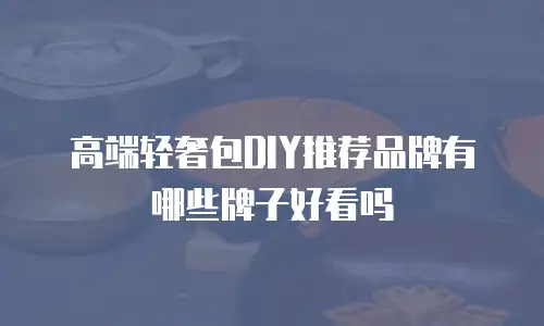 高端轻奢包DIY推荐品牌有哪些牌子好看吗