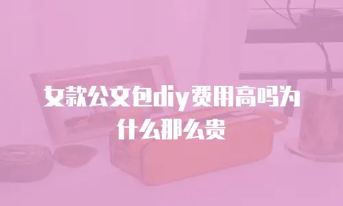 女款公文包diy费用高吗为什么那么贵