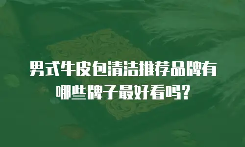 男式牛皮包清洁推荐品牌有哪些牌子最好看吗？