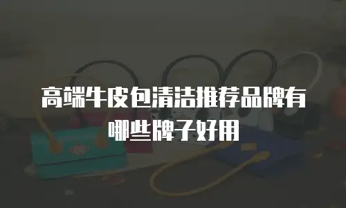 高端牛皮包清洁推荐品牌有哪些牌子好用