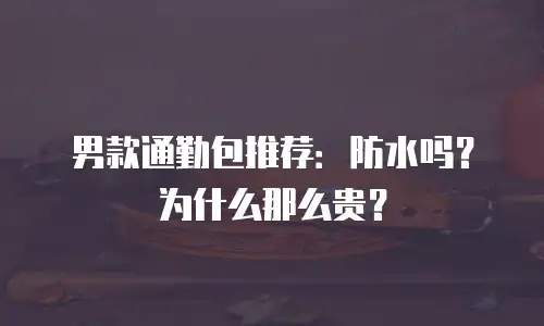 男款通勤包推荐：防水吗？为什么那么贵？