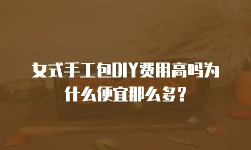 女式手工包DIY费用高吗为什么便宜那么多？