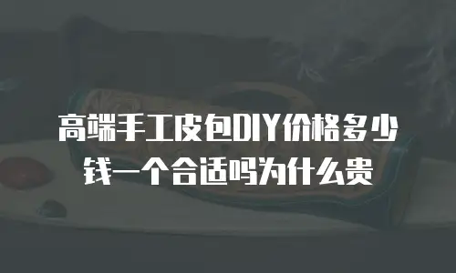 高端手工皮包DIY价格多少钱一个合适吗为什么贵