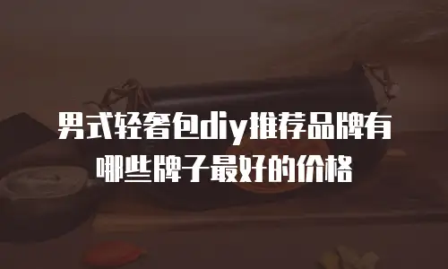 男式轻奢包diy推荐品牌有哪些牌子最好的价格
