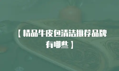 【精品牛皮包清洁推荐品牌有哪些】