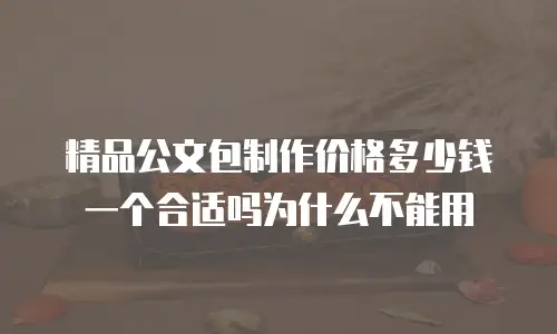 精品公文包制作价格多少钱一个合适吗为什么不能用