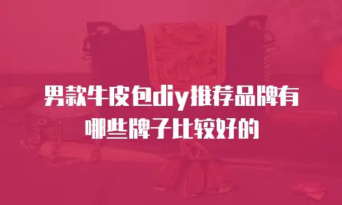 男款牛皮包diy推荐品牌有哪些牌子比较好的