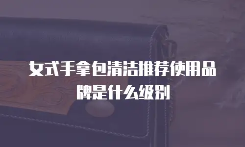 女式手拿包清洁推荐使用品牌是什么级别