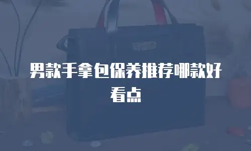 男款手拿包保养推荐哪款好看点