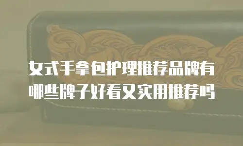女式手拿包护理推荐品牌有哪些牌子好看又实用推荐吗