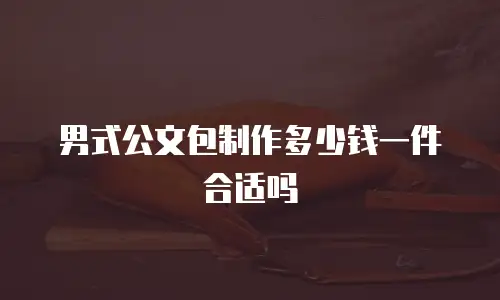 男式公文包制作多少钱一件合适吗