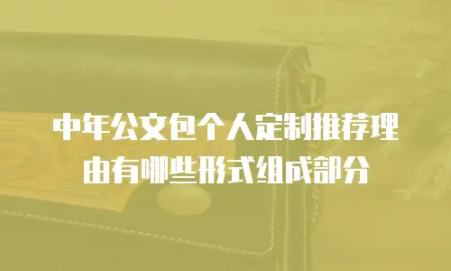中年公文包个人定制推荐理由有哪些形式组成部分