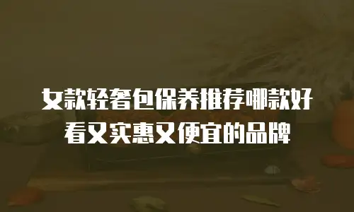 女款轻奢包保养推荐哪款好看又实惠又便宜的品牌