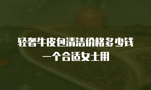 轻奢牛皮包清洁价格多少钱一个合适女士用