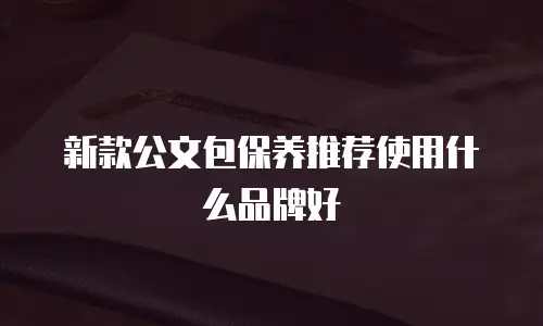 新款公文包保养推荐使用什么品牌好