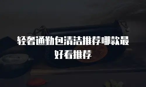 轻奢通勤包清洁推荐哪款最好看推荐