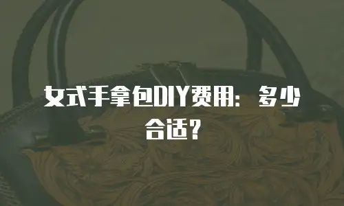 女式手拿包DIY费用：多少合适？