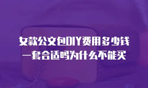 女款公文包DIY费用多少钱一套合适吗为什么不能买