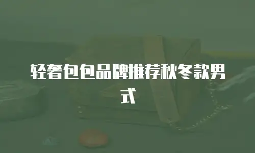 轻奢包包品牌推荐秋冬款男式