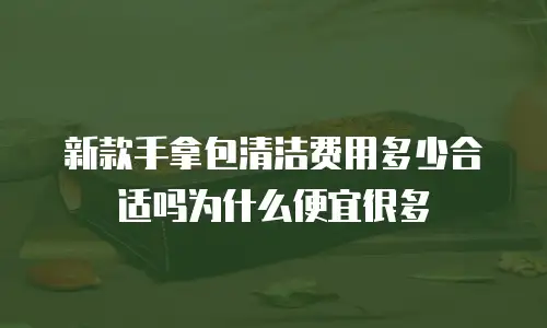 新款手拿包清洁费用多少合适吗为什么便宜很多