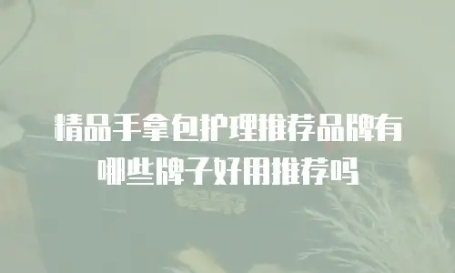 精品手拿包护理推荐品牌有哪些牌子好用推荐吗