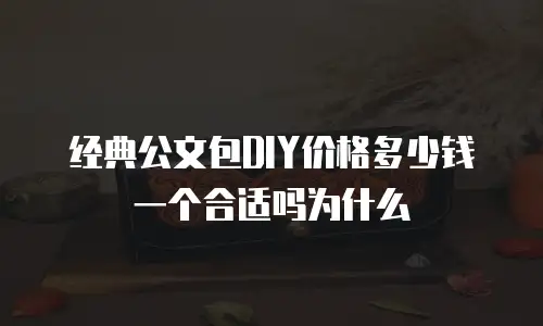 经典公文包DIY价格多少钱一个合适吗为什么
