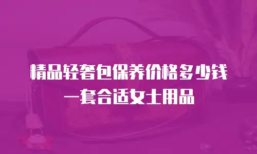 精品轻奢包保养价格多少钱一套合适女士用品
