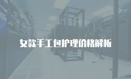  女款手工包护理价格解析