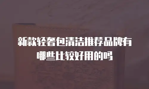 新款轻奢包清洁推荐品牌有哪些比较好用的吗
