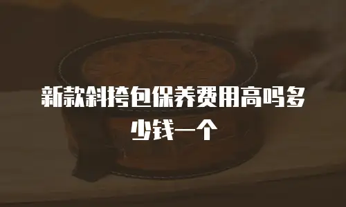 新款斜挎包保养费用高吗多少钱一个