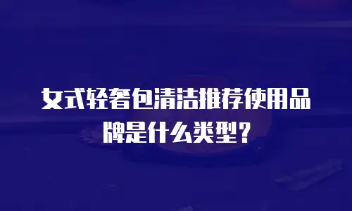 女式轻奢包清洁推荐使用品牌是什么类型？