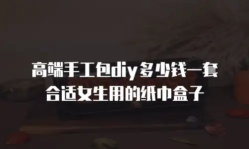 高端手工包diy多少钱一套合适女生用的纸巾盒子