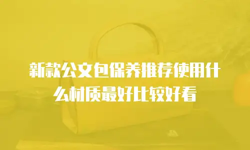 新款公文包保养推荐使用什么材质最好比较好看