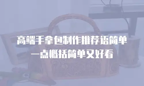 高端手拿包制作推荐语简单一点概括简单又好看
