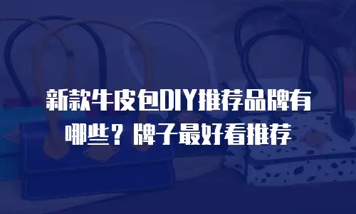 新款牛皮包DIY推荐品牌有哪些？牌子最好看推荐