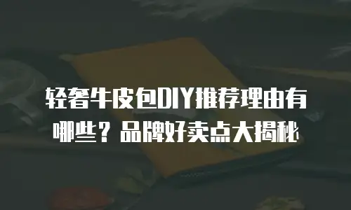 轻奢牛皮包DIY推荐理由有哪些？品牌好卖点大揭秘