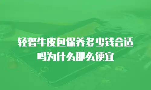 轻奢牛皮包保养多少钱合适吗为什么那么便宜