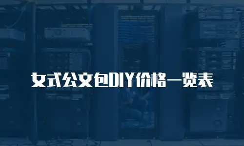 女式公文包DIY价格一览表