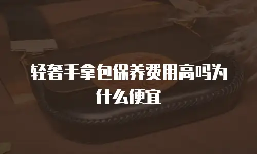 轻奢手拿包保养费用高吗为什么便宜