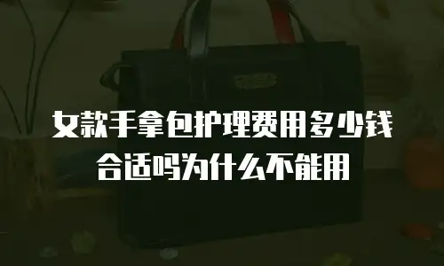 女款手拿包护理费用多少钱合适吗为什么不能用
