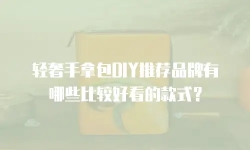 轻奢手拿包DIY推荐品牌有哪些比较好看的款式？