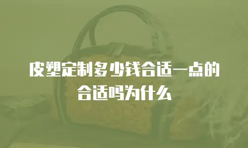皮塑定制多少钱合适一点的合适吗为什么