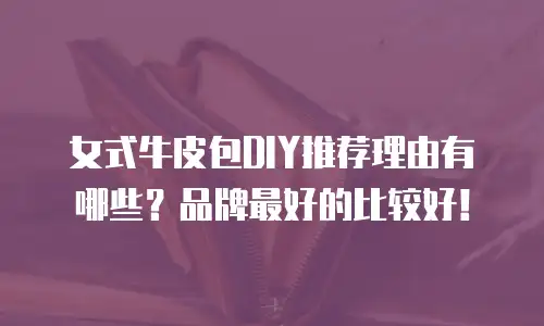 女式牛皮包DIY推荐理由有哪些？品牌最好的比较好！
