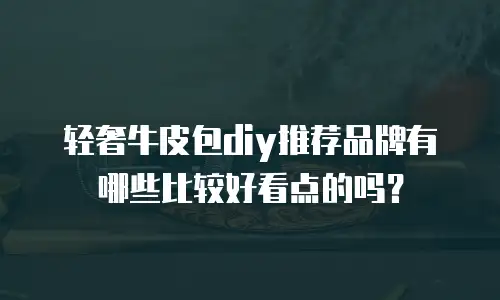 轻奢牛皮包diy推荐品牌有哪些比较好看点的吗？