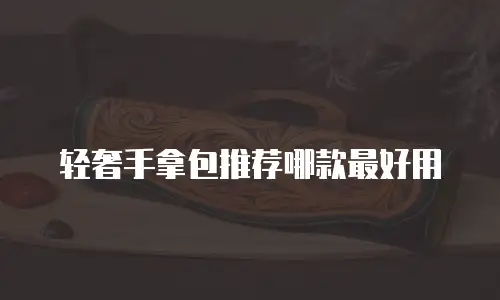 轻奢手拿包推荐哪款最好用