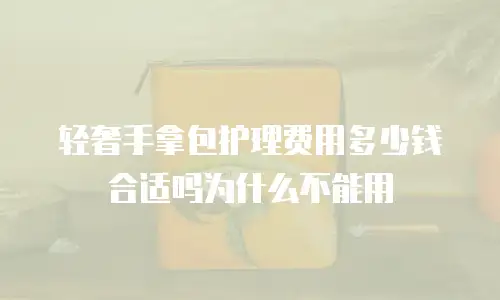 轻奢手拿包护理费用多少钱合适吗为什么不能用
