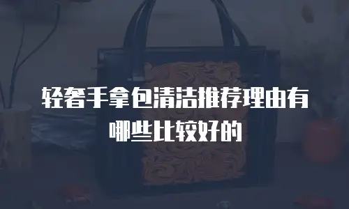 轻奢手拿包清洁推荐理由有哪些比较好的