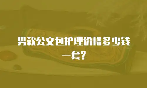 男款公文包护理价格多少钱一套？